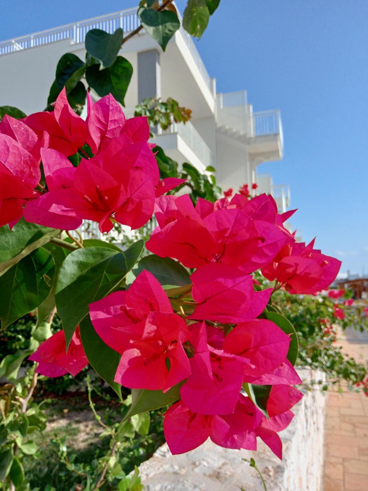Color Dream Residence Monopoli Exterior photo